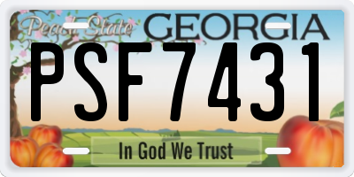 GA license plate PSF7431