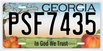GA license plate PSF7435