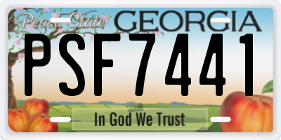 GA license plate PSF7441