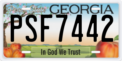 GA license plate PSF7442