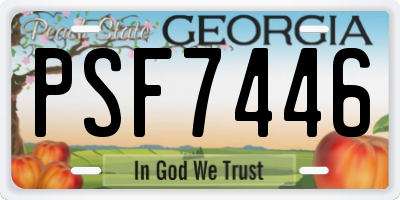 GA license plate PSF7446