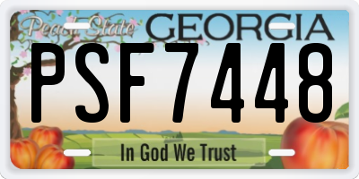 GA license plate PSF7448