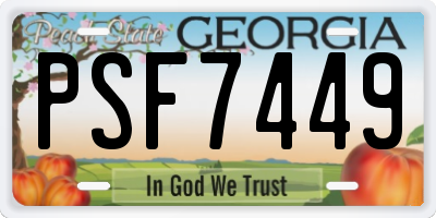 GA license plate PSF7449