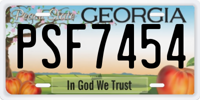 GA license plate PSF7454