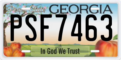 GA license plate PSF7463