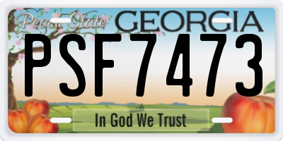 GA license plate PSF7473