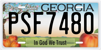 GA license plate PSF7480