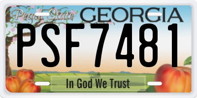 GA license plate PSF7481