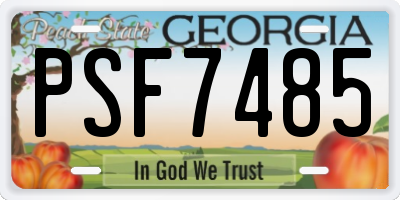 GA license plate PSF7485