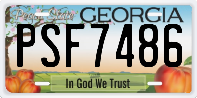GA license plate PSF7486