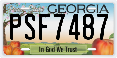 GA license plate PSF7487