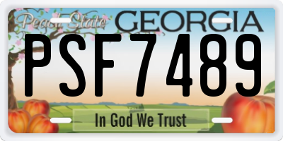 GA license plate PSF7489