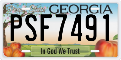 GA license plate PSF7491