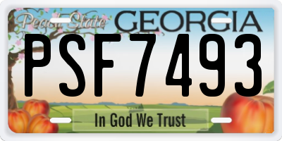GA license plate PSF7493