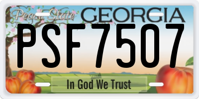 GA license plate PSF7507