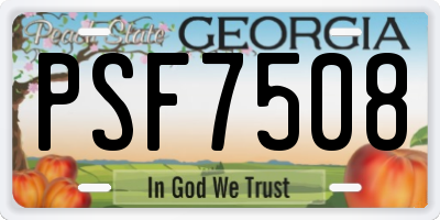 GA license plate PSF7508