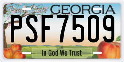 GA license plate PSF7509