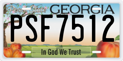 GA license plate PSF7512
