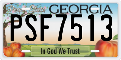 GA license plate PSF7513