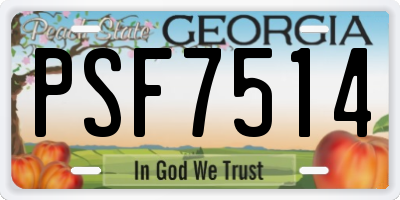 GA license plate PSF7514