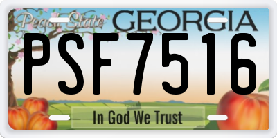 GA license plate PSF7516