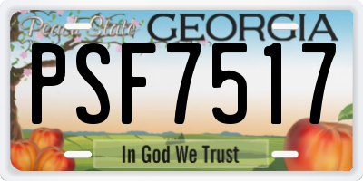 GA license plate PSF7517