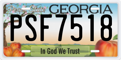 GA license plate PSF7518