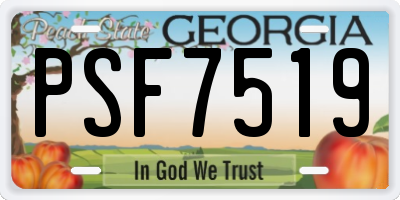 GA license plate PSF7519