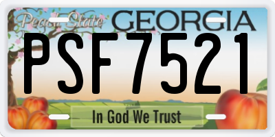 GA license plate PSF7521
