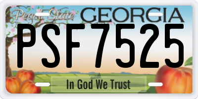GA license plate PSF7525