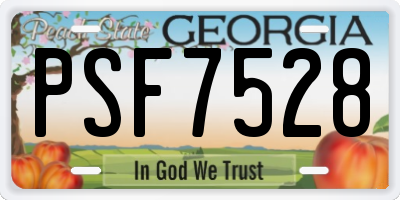GA license plate PSF7528