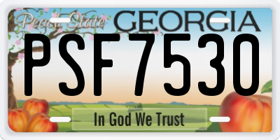 GA license plate PSF7530
