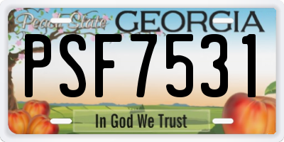 GA license plate PSF7531
