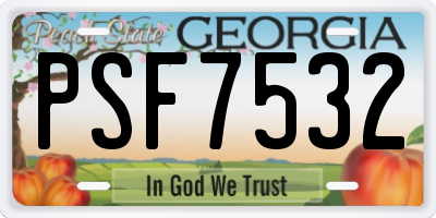 GA license plate PSF7532