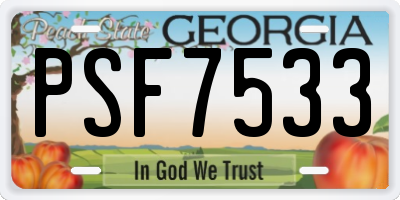 GA license plate PSF7533