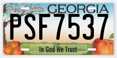 GA license plate PSF7537