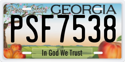 GA license plate PSF7538