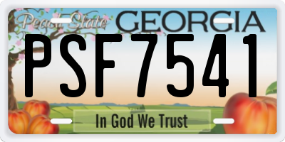 GA license plate PSF7541