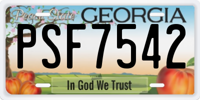GA license plate PSF7542