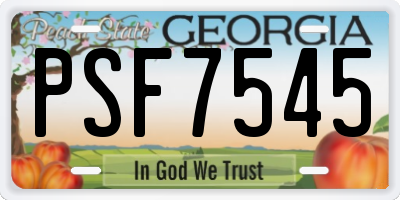 GA license plate PSF7545