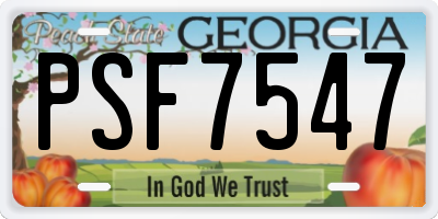 GA license plate PSF7547