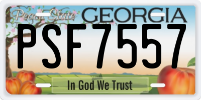 GA license plate PSF7557