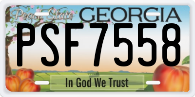 GA license plate PSF7558