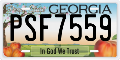 GA license plate PSF7559