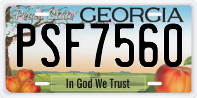 GA license plate PSF7560