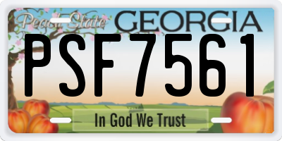 GA license plate PSF7561