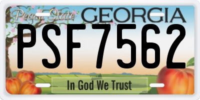 GA license plate PSF7562