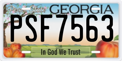 GA license plate PSF7563