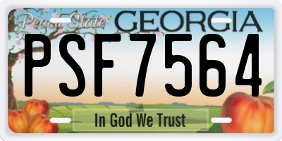 GA license plate PSF7564