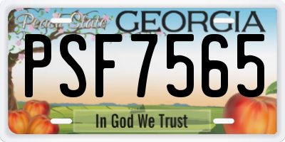GA license plate PSF7565
